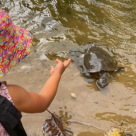Tasman Holiday Parks - Cairns Cool Waters 외부 사진