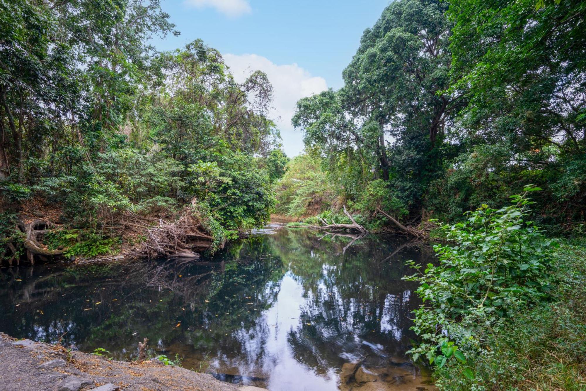 Tasman Holiday Parks - Cairns Cool Waters 외부 사진