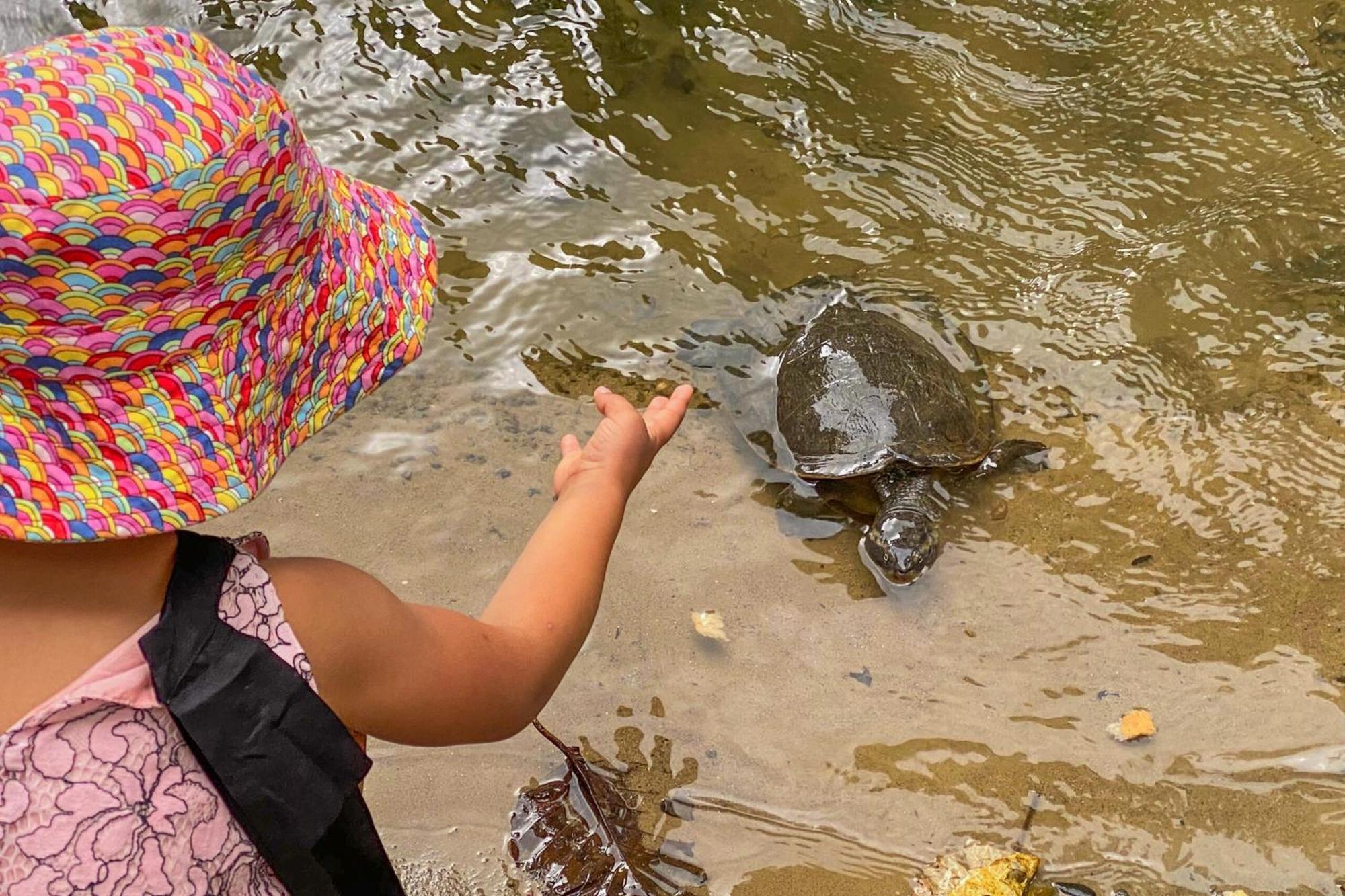 Tasman Holiday Parks - Cairns Cool Waters 외부 사진